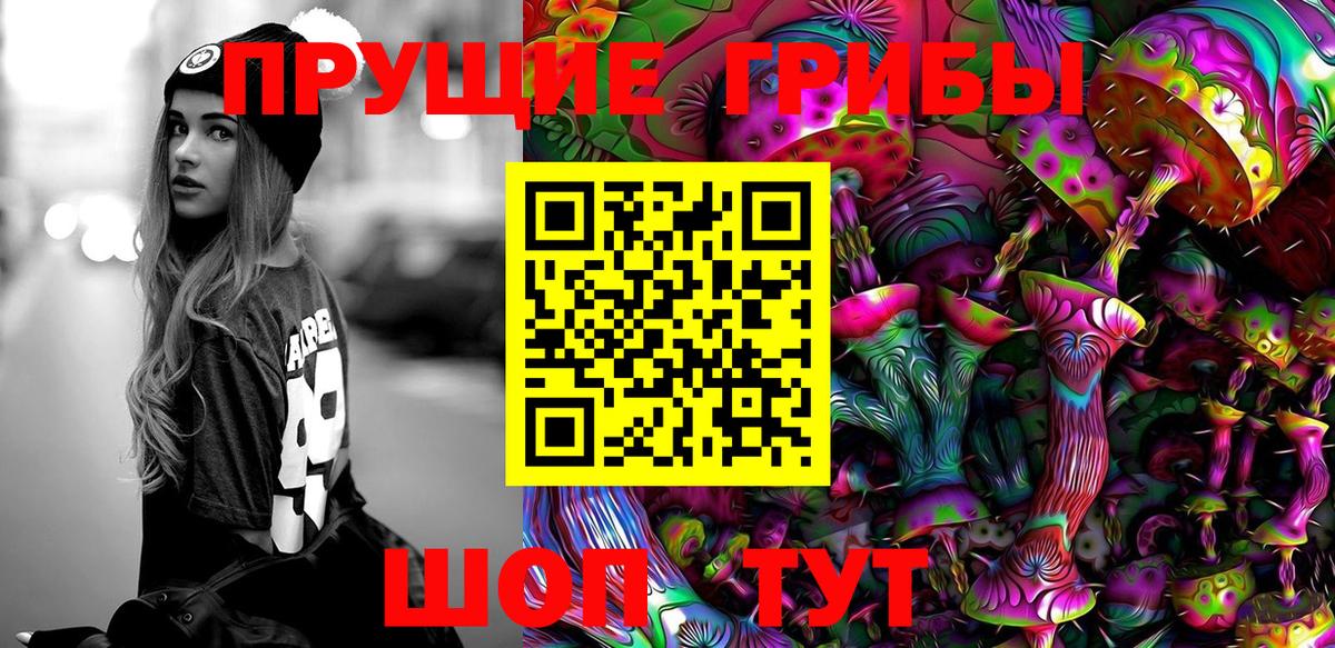 Псилоцибиновые грибы ЛСД  Вход с VPN  Черногорск 